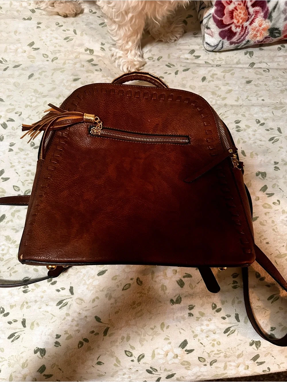Women's Brown Leather Backpack Purse - Classic Tassel Accent